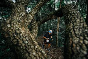 BIB: 
                            <button type="button" onclick="openModal(25394176)" class="btn btn-primary btn-sm float-right btn-popup" data-toggle="modal" data-target=".modal-high-quality">
                        <i class="fas fa-shopping-cart"></i> Add to Cart
                    </button>
                                            <button type="button" onclick="isThisMe(25394176, true)" class="btn btn-success btn-sm float-right btn-popup btn-isme hidden" data-toggle="tooltip" data-placement="bottom" title="นี่คือรูปของคุณใช่ไหม คลิกที่นี่เพื่อเอาเข้าอัลบั้ม">
                        <i class="fas fa-plus"></i> Add to album
                    </button>
                    <button type="button" onclick="isThisMe(25394176, false)" class="btn btn-warning btn-sm float-right btn-popup btn-isnotme hidden">
                        <i class="fas fa-ban"></i> Remove from album
                    </button>